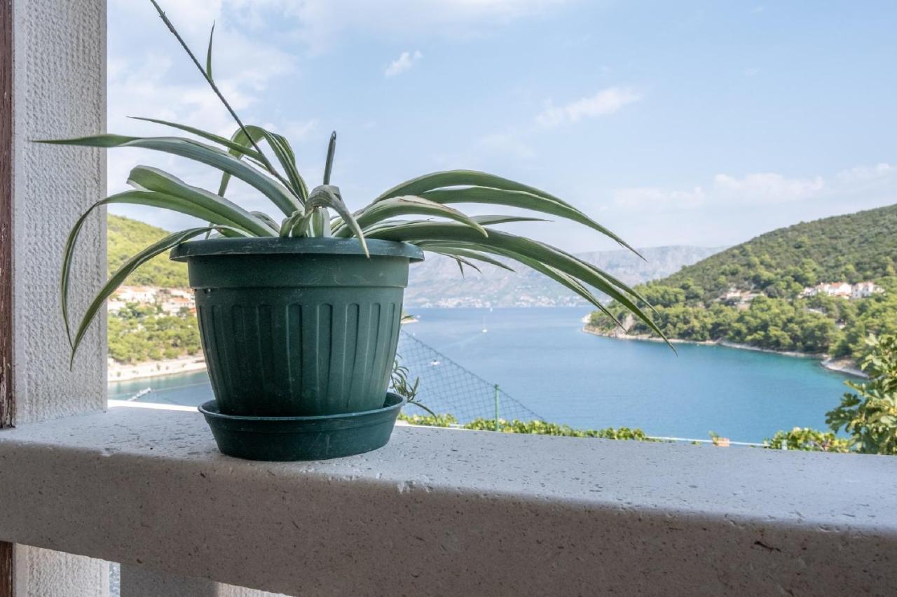 Apartments Darija بوتشيتشا المظهر الخارجي الصورة